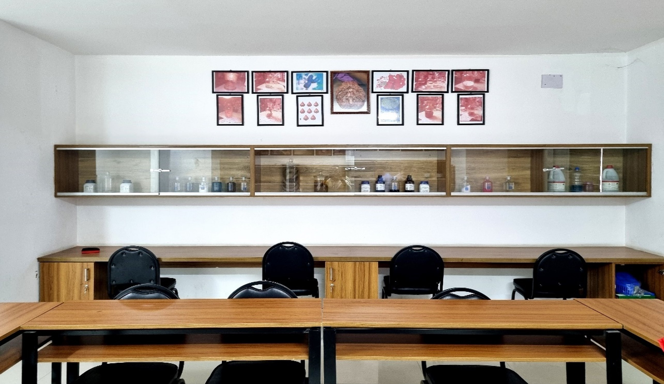 AMMC Forensic Medicine Museum