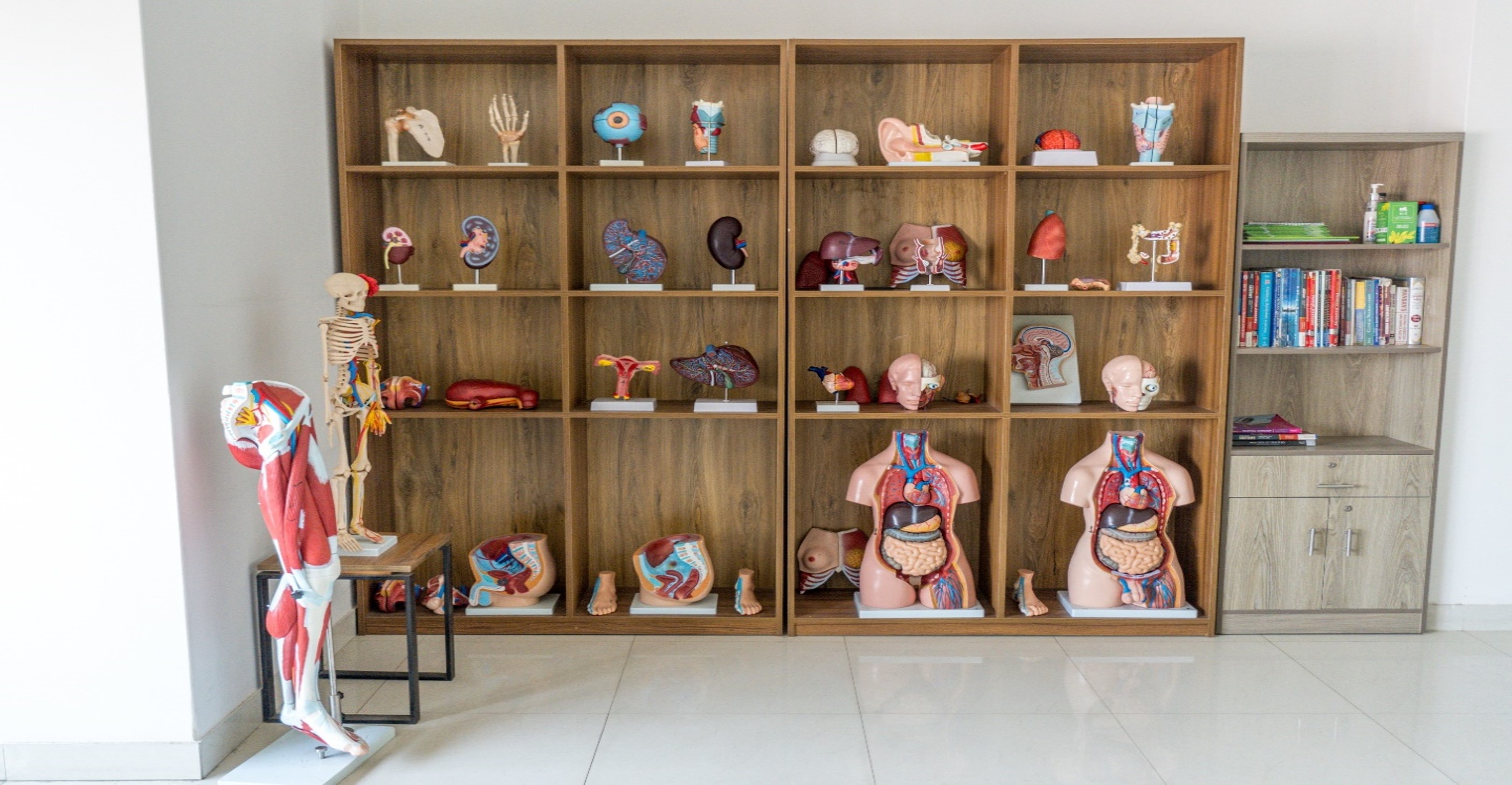 AMMC Forensic Medicine Museum